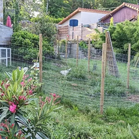 Cosy Arnaya Domaine Et Grande Piscine - 1 Hectare * Jurancon